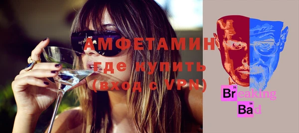 спайс Богданович