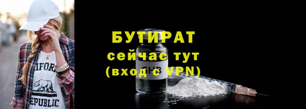 МДПВ Пересвет